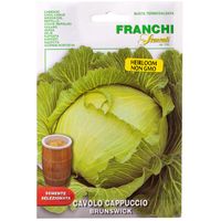 Franchi Sementi Brunswick Cabbage